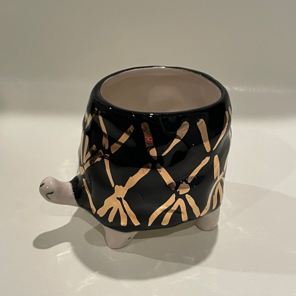 Anthropologie x Gail CC Flecked Fauna Turtle Planter